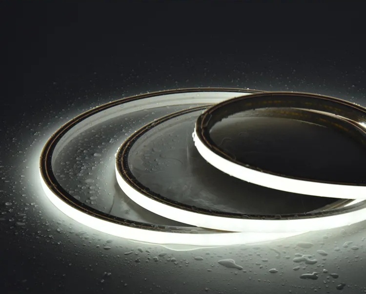 霓虹灯带1 霓虹灯带1